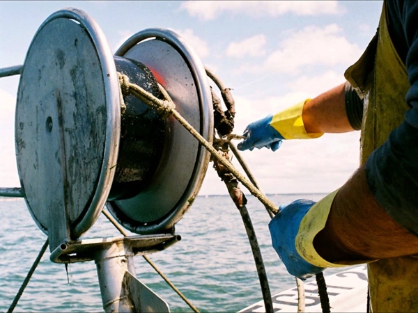 Fedagripesca: i danni ambientali costano alla pesca italiana 200 milioni all’anno